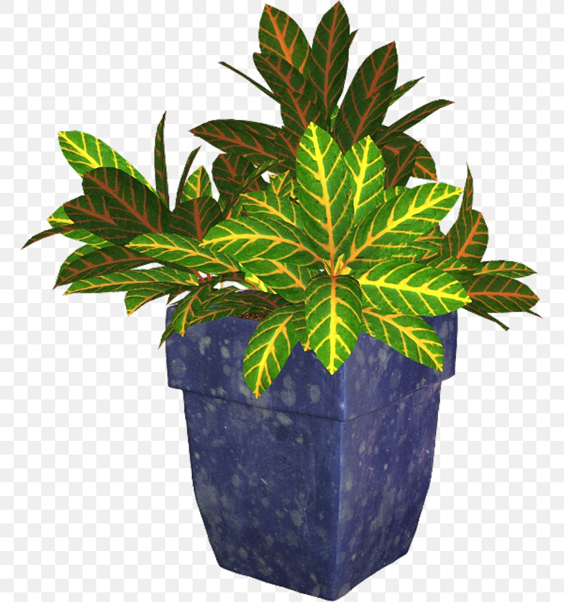 Flowerpot Plant, PNG, 762x874px, Flowerpot, Digital Image, Evergreen, Evergreen Marine Corp, Houseplant Download Free