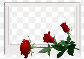 Flowers Frame - Happiness Wish International Men's Day Prayer Blessing PNG