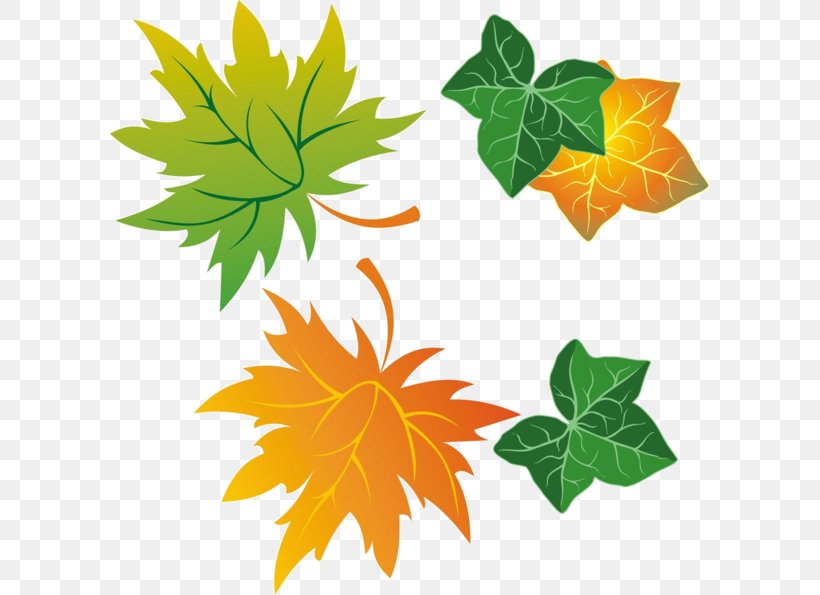 Maple Leaf Clip Art, PNG, 600x595px, Leaf, Computer, Flowering Plant, Information, Maple Download Free