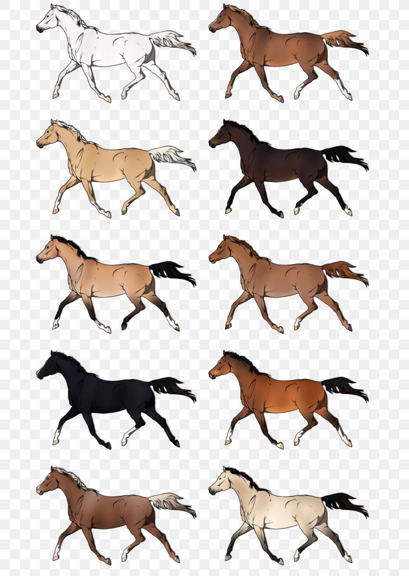 Mustang Stallion Dog Pack Animal Canidae, PNG, 692x1153px, Mustang, Animal, Animal Figure, Canidae, Carnivoran Download Free