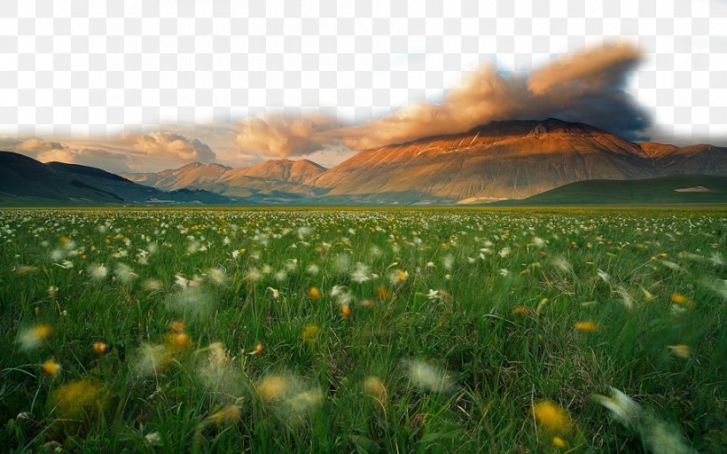 Beautiful Grassland, PNG, 900x562px, Castelluccio, Candid Photography, Ecoregion, Ecosystem, Energy Download Free