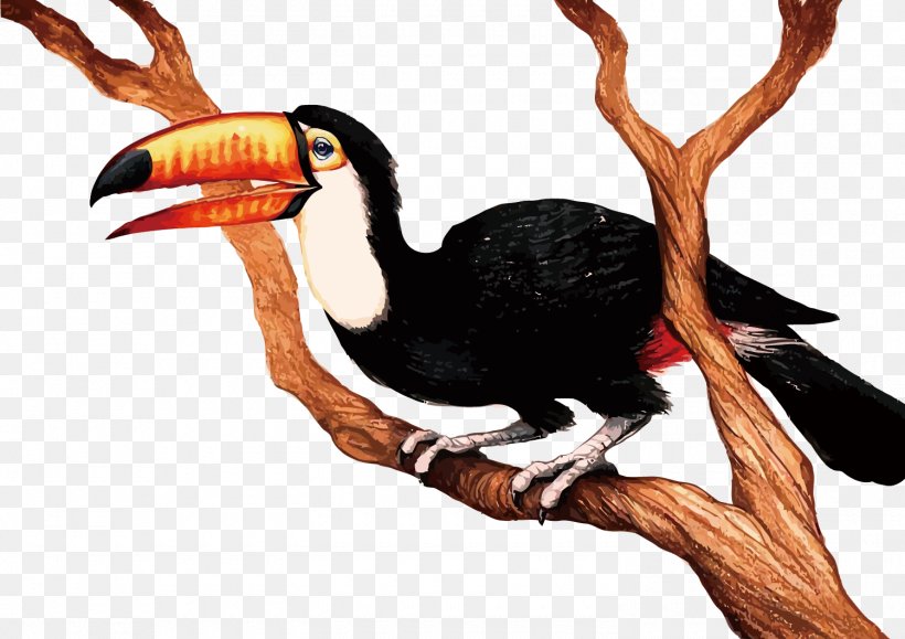 Bird Cartoon Clip Art, PNG, 1500x1060px, 3d Computer Graphics, Bird, Beak, Cartoon, Coraciiformes Download Free