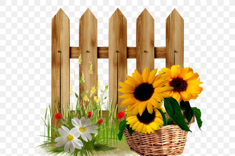 Fence Garden Clip Art, PNG, 600x547px, Fence, Cut Flowers, Daisy Family, Floral Design, Floristry Download Free