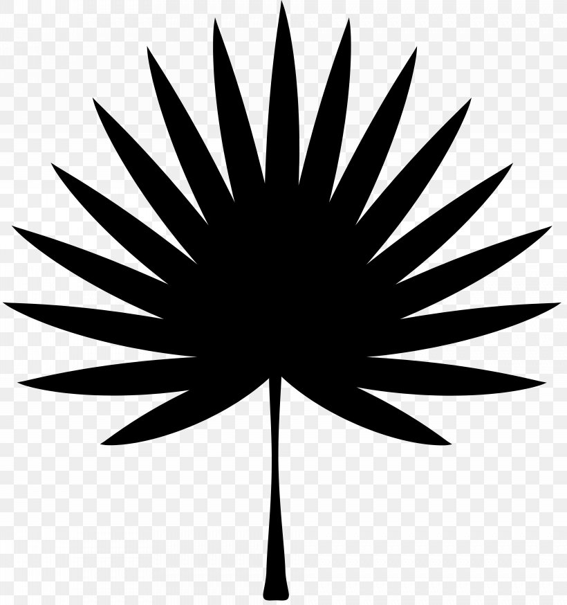 Leaf Palm Trees Clip Art Desktop Wallpaper, PNG, 7503x8000px, Leaf, Arecales, Black, Blackandwhite, Botany Download Free