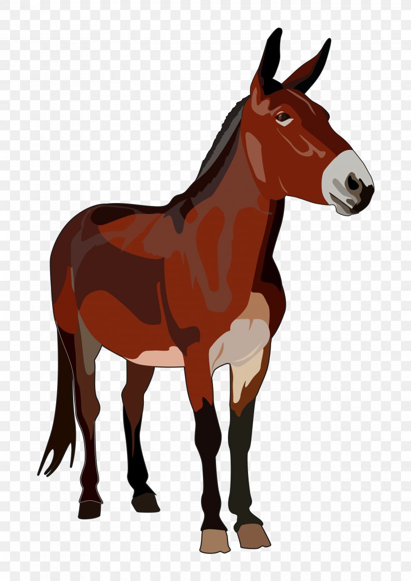 Mule Mula Mare Horse Foal, PNG, 2480x3508px, Mule, Bridle, Colt, Donkey, Drawing Download Free