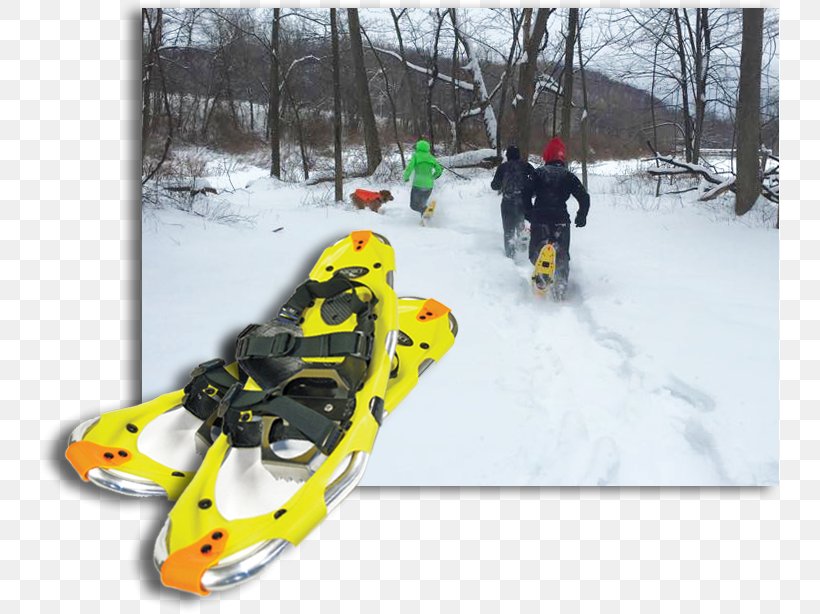 Ski Bindings Snowshoe Winter Sport Vehicle, PNG, 741x614px, Ski Bindings, Dagens Nyheter, Footwear, Headgear, Ice Download Free