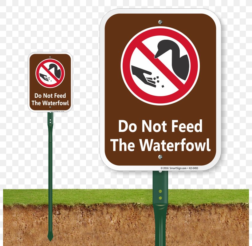 Traffic Sign Dog Duck Pet, PNG, 800x800px, Traffic Sign, Animal, Brand, Dog, Dog Park Download Free