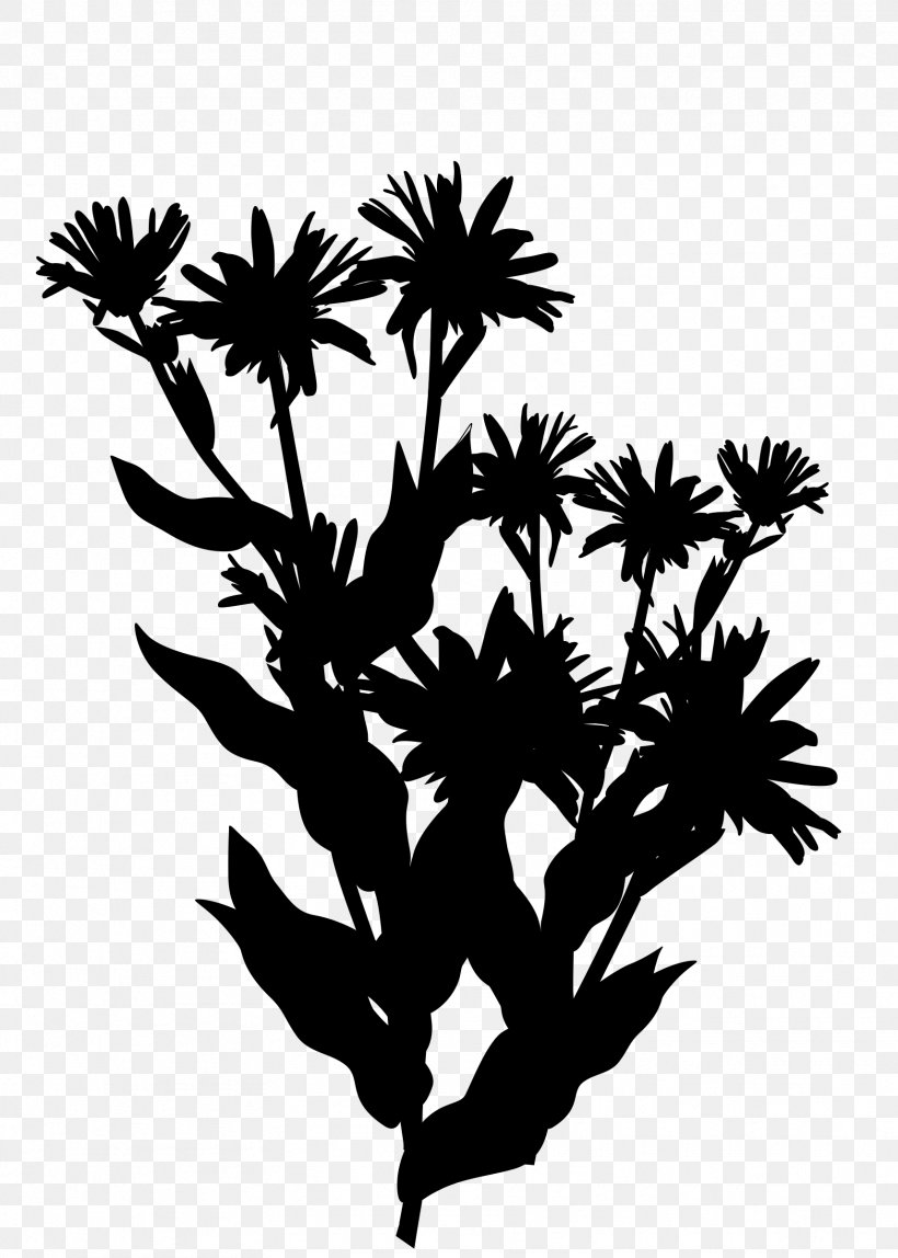 Twig Plant Stem Flower Leaf Clip Art, PNG, 1714x2400px, Twig, Blackandwhite, Botany, Branch, Chrysanths Download Free