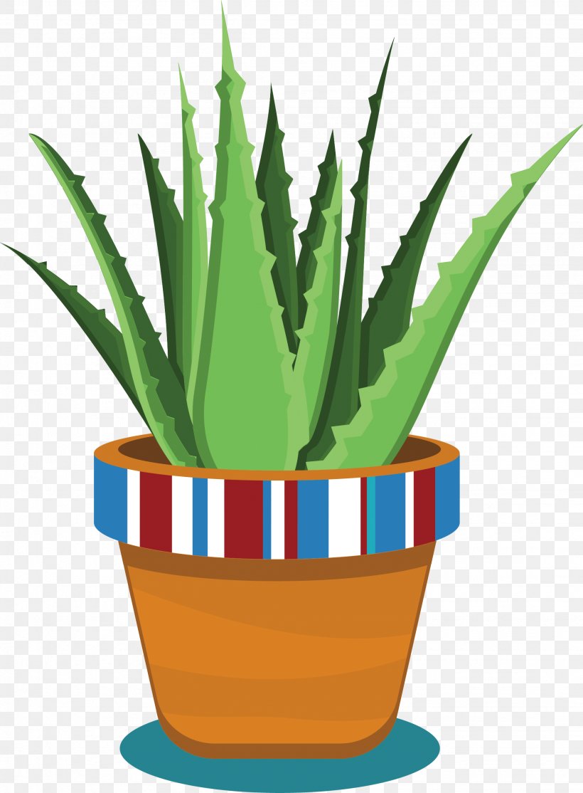 Aloe Vera Flowerpot Plant, PNG, 1944x2642px, Aloe Vera, Aloe, Bonsai, Cactaceae, Cactus Download Free