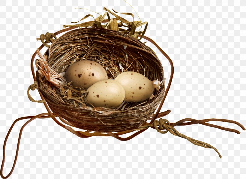 Bird Nest Egg Clip Art, PNG, 1937x1409px, Bird, Bird Nest, Clutch, Easter, Easter Egg Download Free