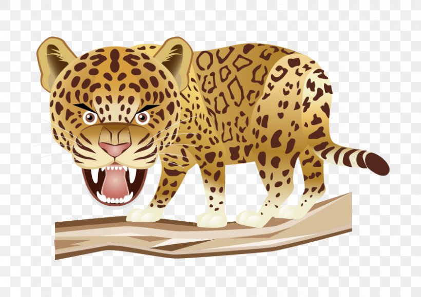 Leopard Jaguar Tiger Cheetah Felidae, PNG, 842x596px, Leopard, Big Cat, Big Cats, Carnivoran, Cartoon Download Free