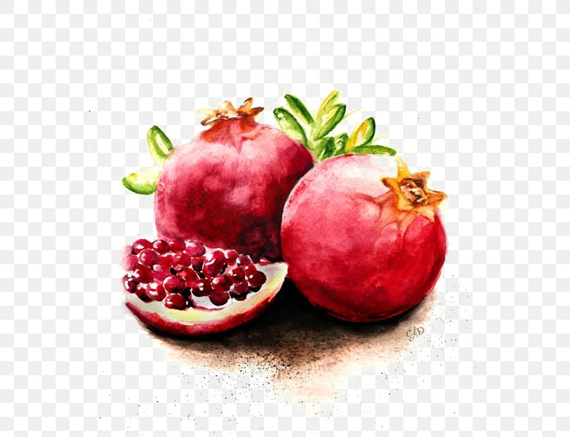 Pomegranate Juice Pomegranate Juice Fruit Watercolor Painting, PNG, 564x629px, Pomegranate, Cranberry, Diet Food, Food, Fruit Download Free