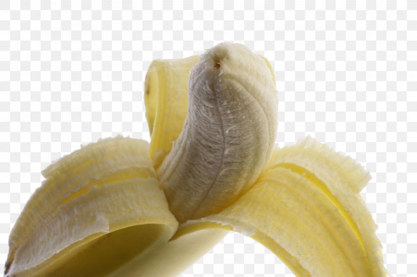 Banana Fruit Vegetable, PNG, 2289x1526px, Banana, Banana Family, Food, Fruit, Fruits Et Lxe9gumes Download Free