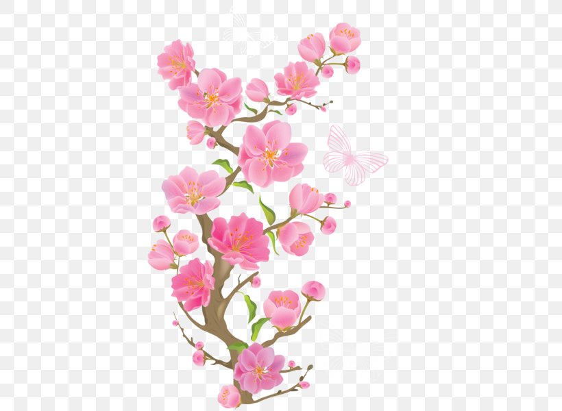 Cherry Blossom, PNG, 425x600px, Flower, Blossom, Branch, Cherry Blossom, Cut Flowers Download Free