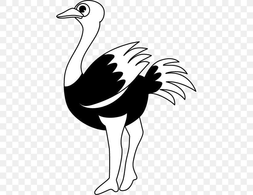 Common Ostrich Black And White Line Art Clip Art, PNG, 455x633px, Common Ostrich, Animal, Art, Artwork, Beak Download Free