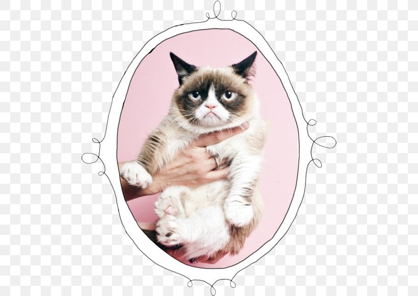Grumpy Cat Kitten Cat Food Cats And The Internet, PNG, 500x580px, Watercolor, Cartoon, Flower, Frame, Heart Download Free