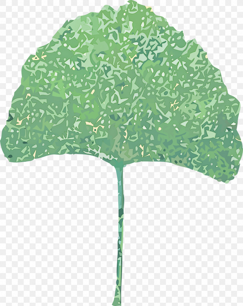 Leaf Plant Stem Tree Green Plants, PNG, 2386x3000px, Leaf, Biology, Green, Plant Stem, Plant Structure Download Free