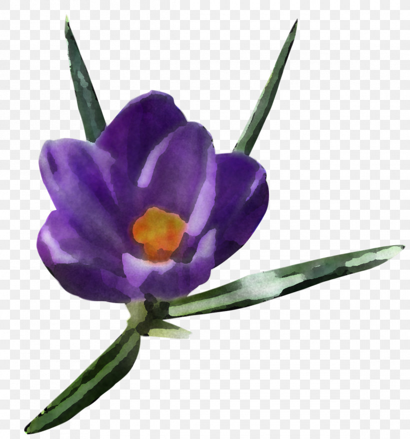 Flower Violet Purple Plant Spring Crocus, PNG, 1193x1280px, Flower, Crocus, Iris Family, Petal, Plant Download Free