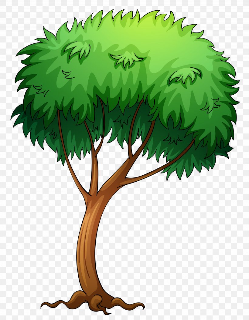 Tree Clip Art, PNG, 3945x5080px, Tree, Arecaceae, Branch, Flowerpot, Free Content Download Free