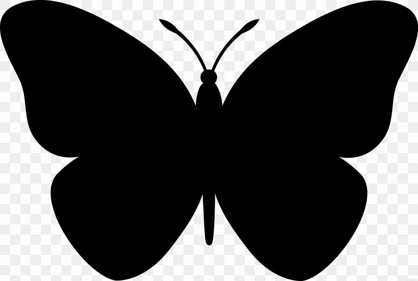 Butterfly Drawing Clip Art, PNG, 5381x3618px, Butterfly, Arthropod, Black, Black And White, Black Butterfly Download Free