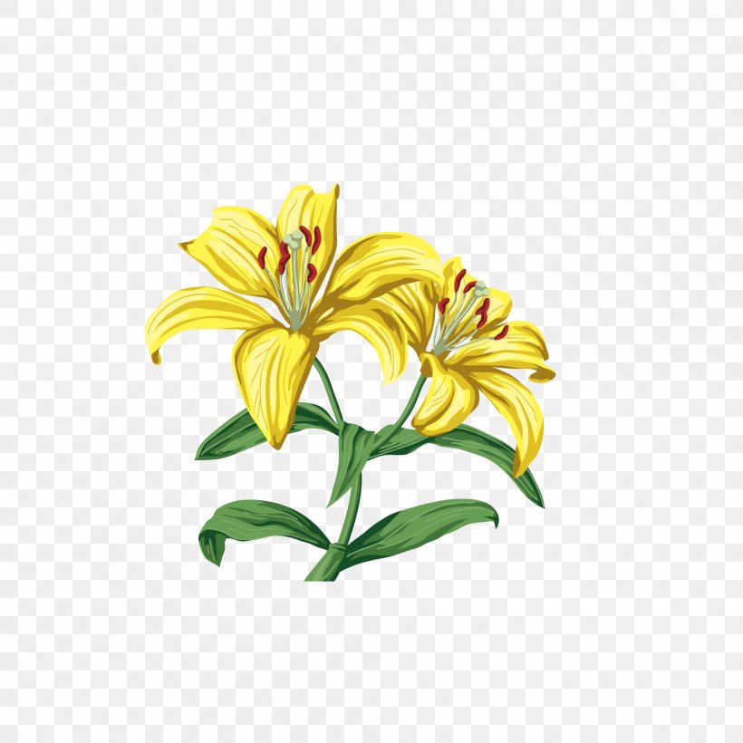 Lilium Clip Art, PNG, 2000x2000px, Lilium, Arumlily, Cut Flowers, Daylily, Flower Download Free