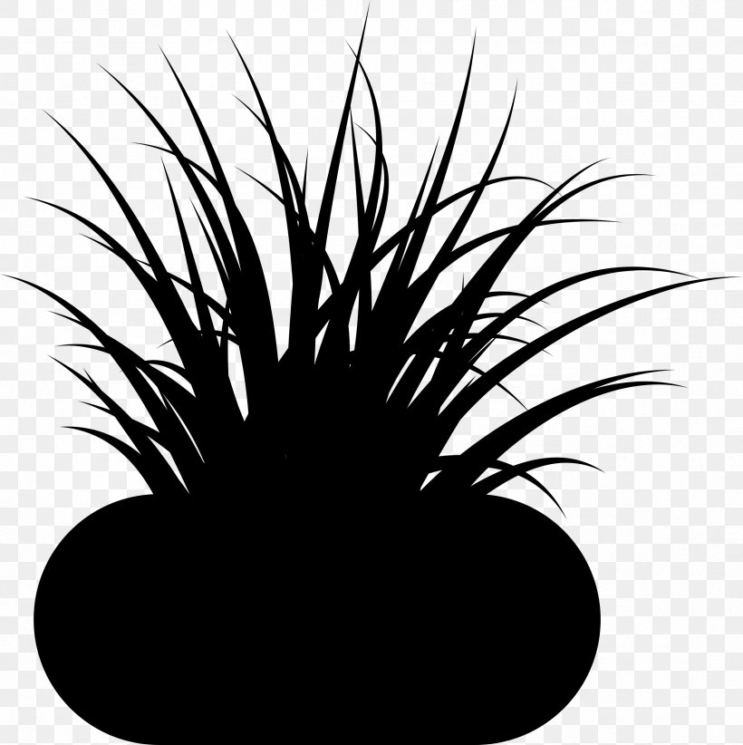 Plants Plant Stem Leaf Black & White, PNG, 2392x2400px, Plants, Black, Black M, Black White M, Blackandwhite Download Free