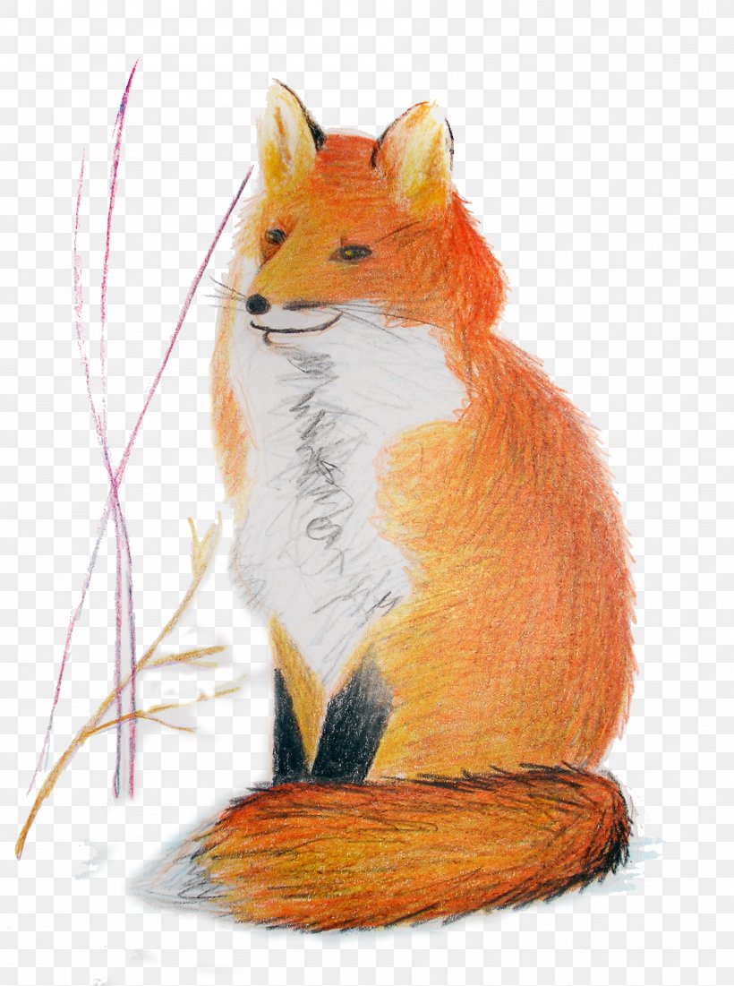 Red Fox Mouse Whiskers Fox News, PNG, 1794x2410px, Red Fox, Carnivoran, Dog Like Mammal, Fauna, Fox Download Free