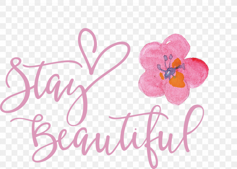 Stay Beautiful Fashion, PNG, 3000x2146px, Stay Beautiful, Cut Flowers, Fashion, Floral Design, Flower Download Free