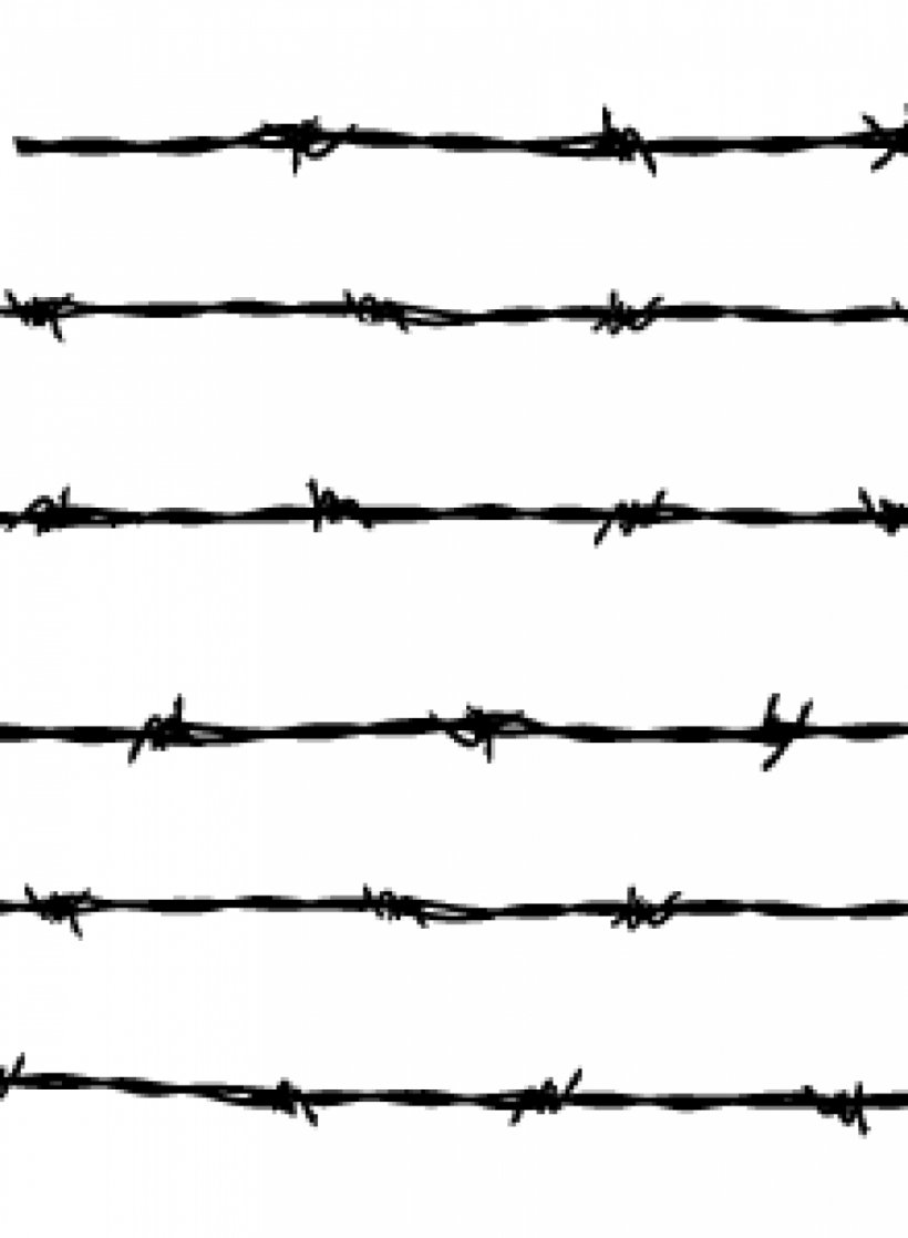 Barbed Wire Fence Barbed Tape Clip Art, PNG, 954x1300px, Barbed Wire, Area, Barbed Tape, Black And White, Branch Download Free