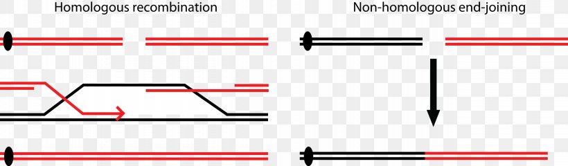 Brand Line Angle, PNG, 2558x750px, Brand, Design M, Diagram, Material, Number Download Free