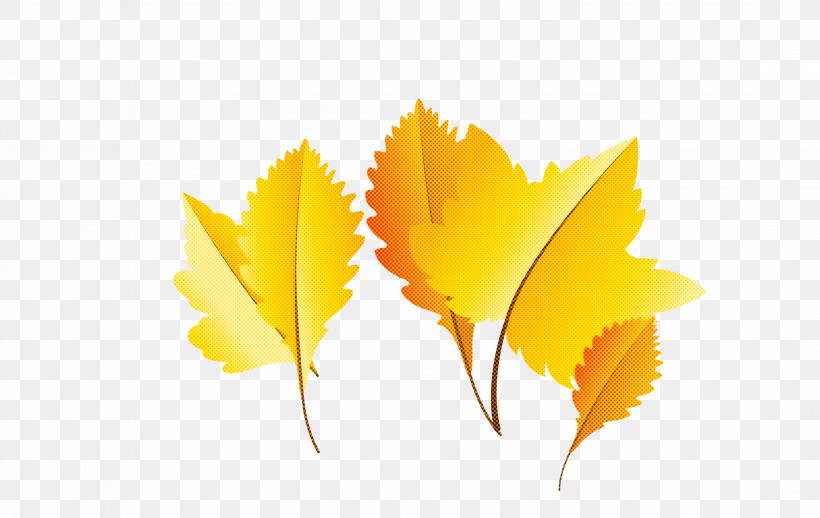 Maple Leaf, PNG, 2999x1897px, Autumn Leaf, Biology, Cartoon Leaf, Computer, Fall Leaf Download Free