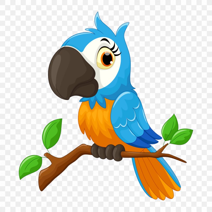 Parrot Cartoon Bird Illustration, PNG, 1000x1000px, Parrot, Beak, Bird, Cartoon, Drawing Download Free