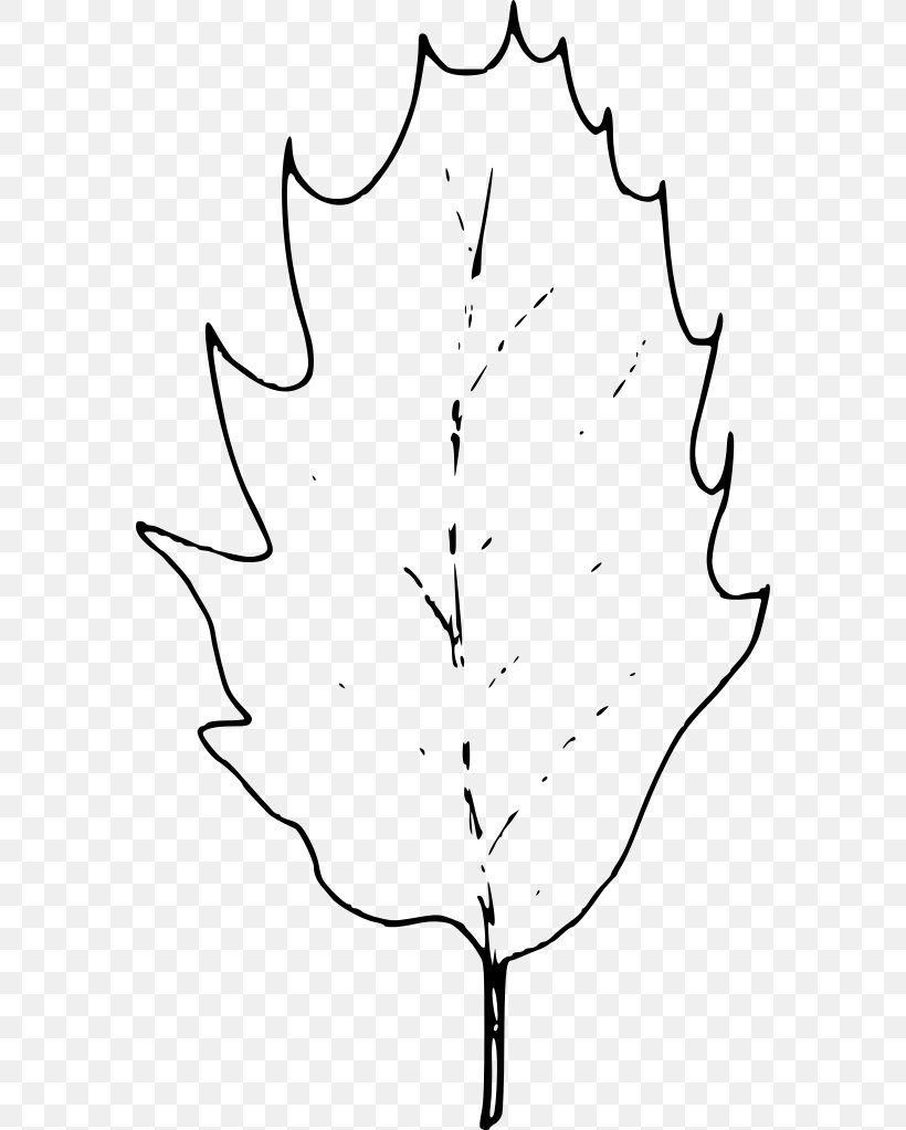 Twig White Line Art Plant Stem Clip Art, PNG, 574x1023px, Twig, Area, Artwork, Black And White, Branch Download Free
