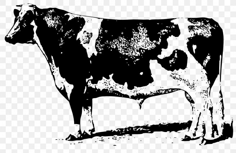 Beef Cattle Jersey Cattle Angus Cattle Clip Art, PNG, 999x650px, Beef Cattle, Angus Cattle, Black And White, Bull, Cattle Download Free