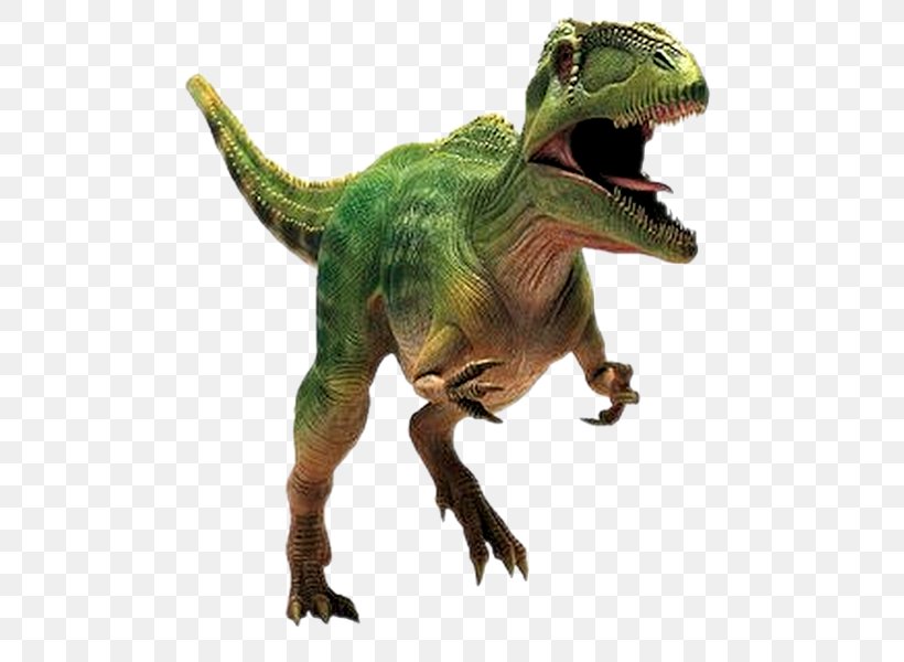 Giganotosaurus Mapusaurus Tyrannosaurus Carcharodontosaurus Spinosaurus, PNG, 527x600px, Giganotosaurus, Acrocanthosaurus, Ankylosaurus, Argentinosaurus, Carcharodontosauridae Download Free