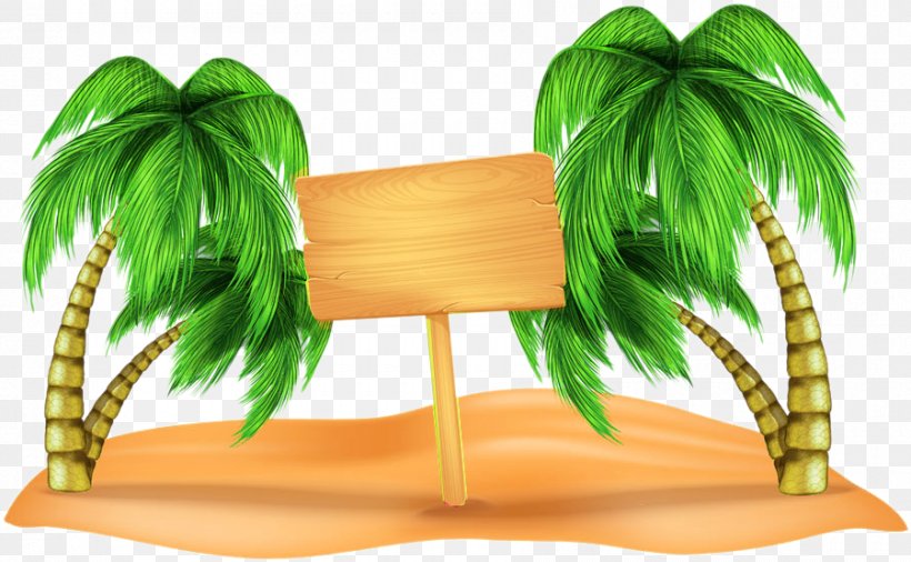 Palm Tree Silhouette, PNG, 900x556px, Beach, Arecales, Green, Houseplant, Leaf Download Free