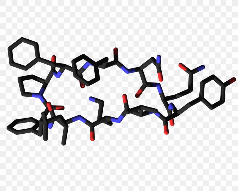 Tyrocidine Amino Acid Brevibacillus Brevis Bacteria Enzyme, PNG, 3000x2400px, Tyrocidine, Amino Acid, Bacillus, Bacteria, Biosynthesis Download Free