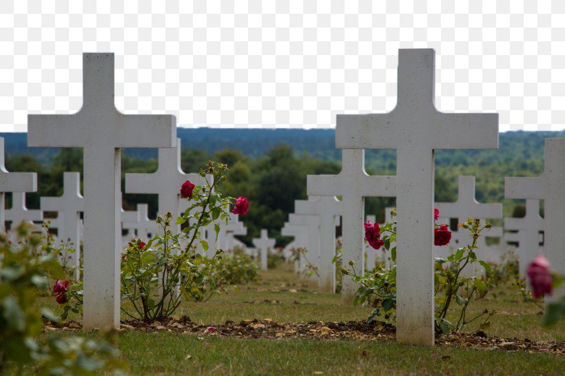Verdun Memorial Battle Of Verdun Cemetery Tourist Attraction, PNG, 820x546px, Verdun, Battle Of Verdun, Cemetery, Flower, France Download Free