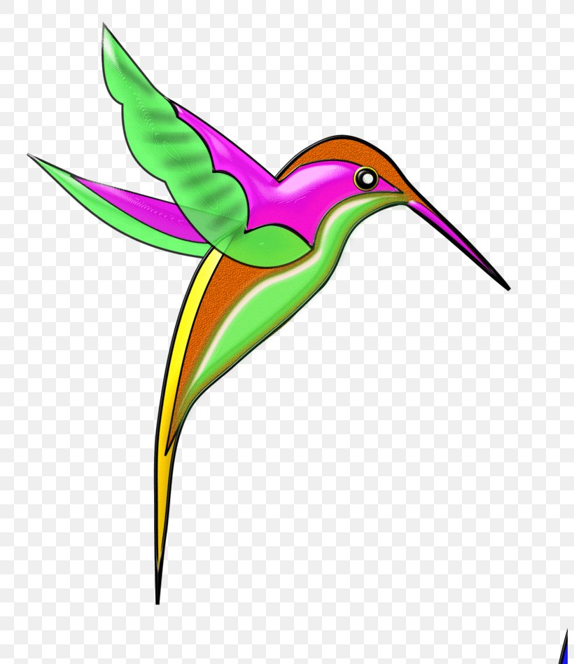Berylline Hummingbird Beak Violetear, PNG, 803x948px, Bird, Art, Beak, Drawing, Feather Download Free
