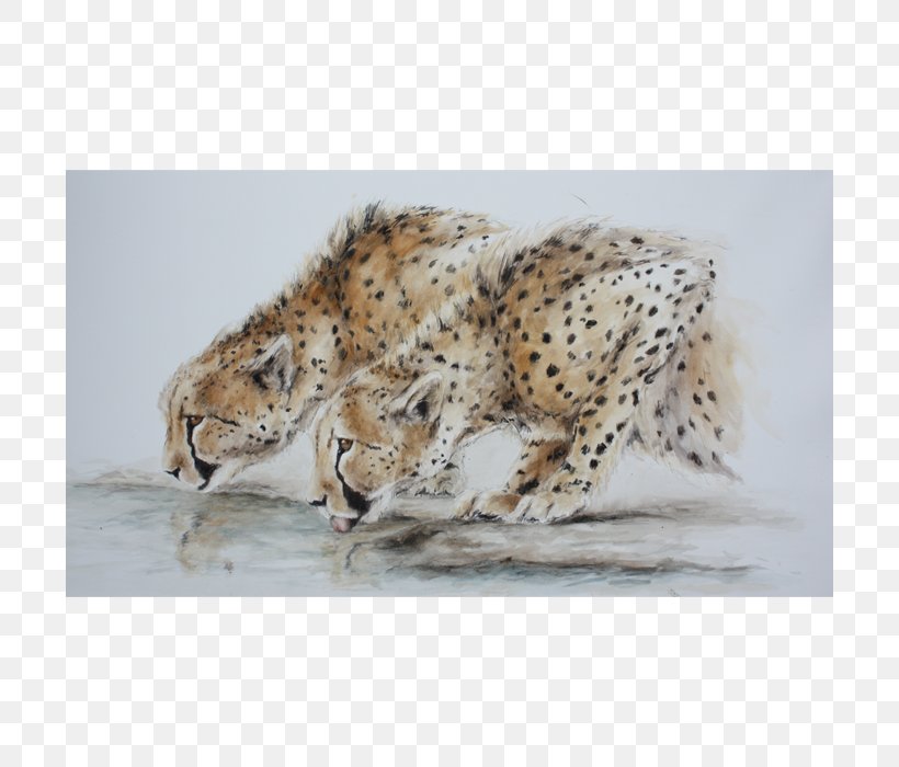 Cheetah Leopard Jaguar Hare Lion, PNG, 700x700px, Cheetah, Animal, Big Cats, Boxing, Carnivoran Download Free