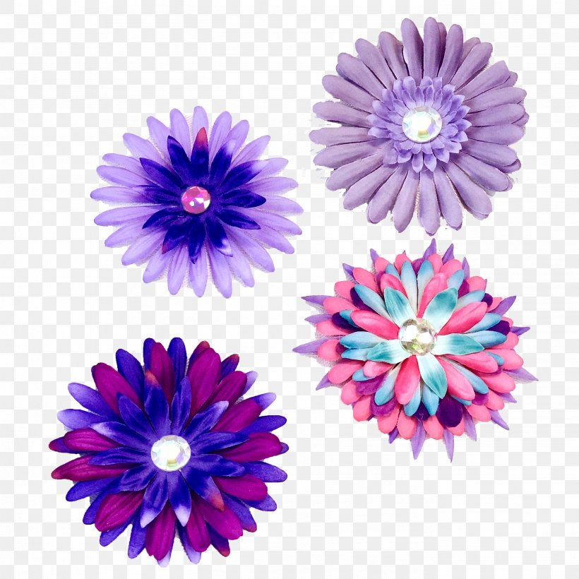 Cut Flowers Purple Violet Transvaal Daisy, PNG, 2736x2736px, Flower, African Violets, Aster, Chrysanthemum, Cut Flowers Download Free