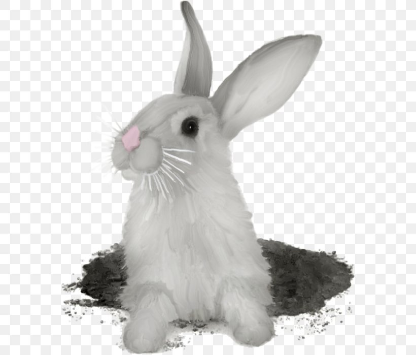 Hare Domestic Rabbit Rex Rabbit, PNG, 580x699px, Hare, Animal, Animation, Black And White, Burrow Download Free