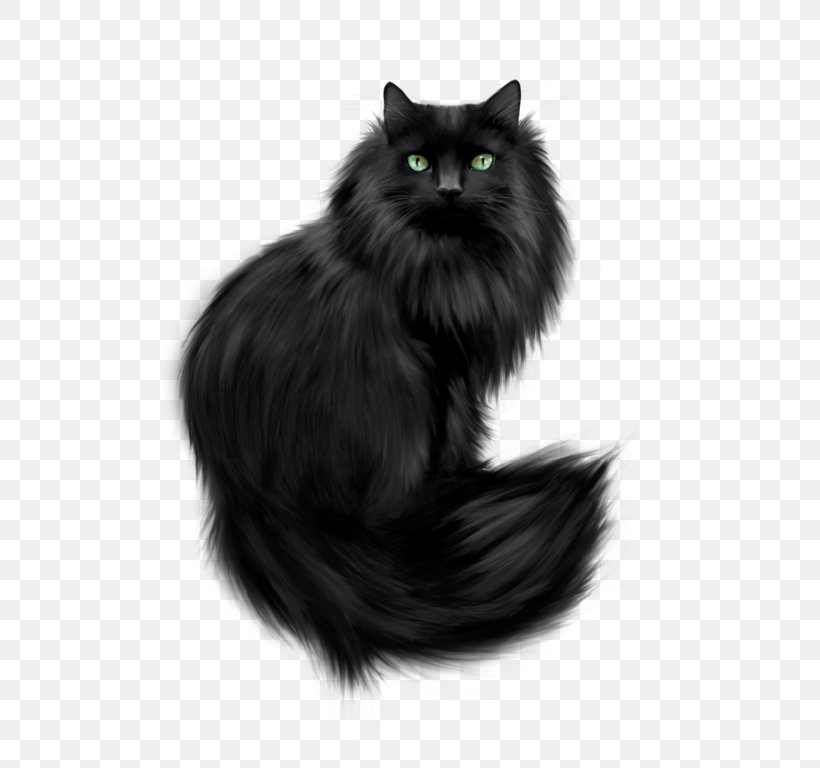 Kitten Persian Cat Havana Brown German Rex Clip Art, PNG, 600x768px, Kitten, Animal, Asian Semi Longhair, Black, Black And White Download Free