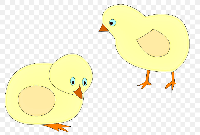 Landfowl Duck Beak Birds Water Bird, PNG, 800x552px, Landfowl, Beak, Biology, Birds, Cartoon Download Free