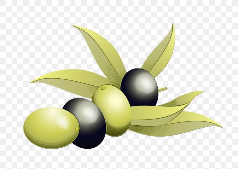 Olive Fruit Plant Leaf Tree, PNG, 1600x1140px, Watercolor, Fruit, Leaf, Logo, Olive Download Free