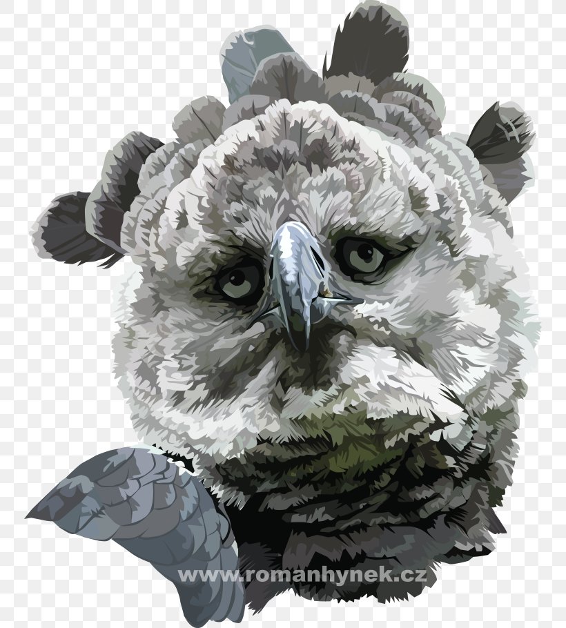Owl Beak Snout, PNG, 750x910px, Owl, Beak, Bird, Bird Of Prey, Snout Download Free
