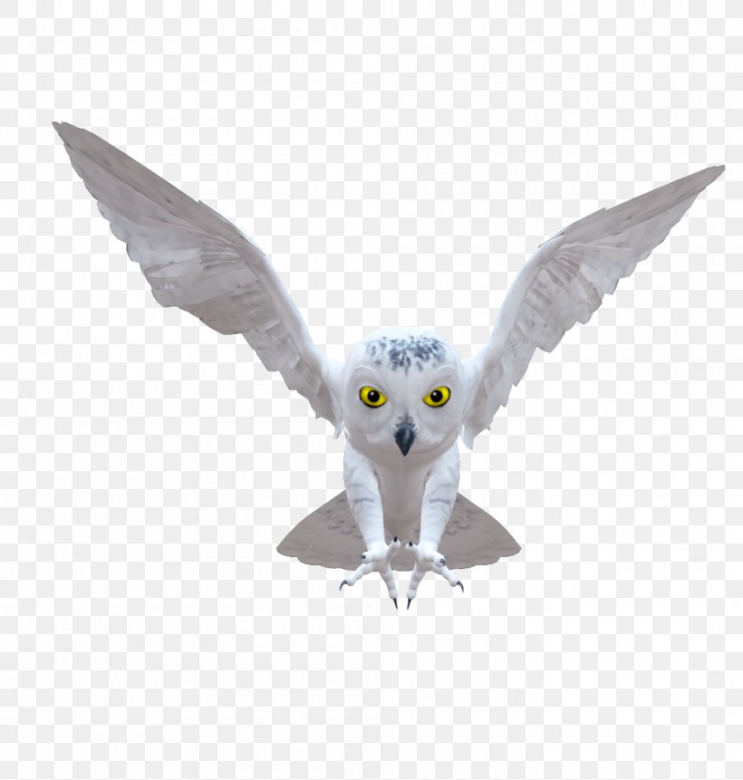 Owl Bird Clip Art, PNG, 1000x1050px, Owl, Animal, Beak, Bird, Bird Of Prey Download Free
