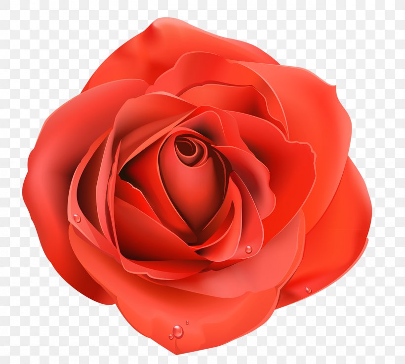 Blue Rose Purple Clip Art, PNG, 1280x1151px, Rose, Blue Rose, China Rose, Close Up, Cut Flowers Download Free