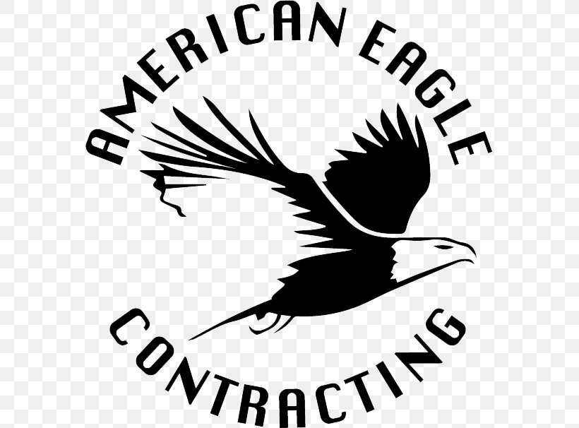 Clip Art Beak Logo Brand General Contractor, PNG, 606x606px, Beak, American Eagle Outfitters, Area, Artwork, Bird Download Free
