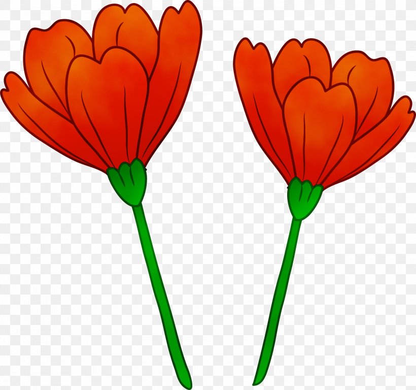 Clip Art Poppy Flower California, PNG, 3000x2812px, Poppy, Botany, California, California Poppy, Common Poppy Download Free